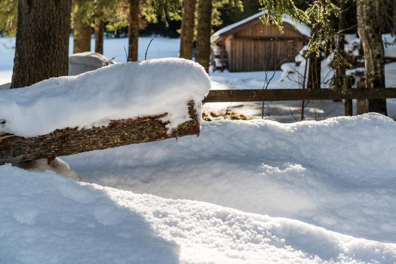Gästehaus Wötzer und Landhaus Stocka Lägenhet Grän Exteriör bild